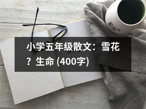 小學(xué)五年級散文：雪花？生命 (400字)