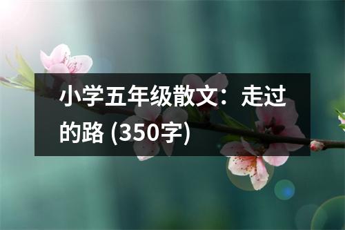 小學(xué)五年級散文：走過的路 (350字)