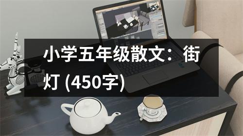 小學(xué)五年級散文：街燈 (450字)