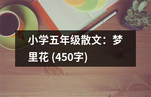 小學(xué)五年級散文：夢里花 (450字)