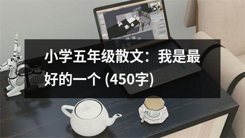 小學(xué)五年級散文：我是最好的一個 (450字)