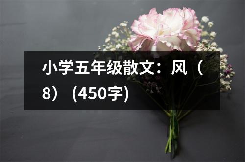 小學(xué)五年級散文：風（8） (450字)
