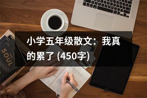 小學(xué)五年級散文：我真的累了 (450字)