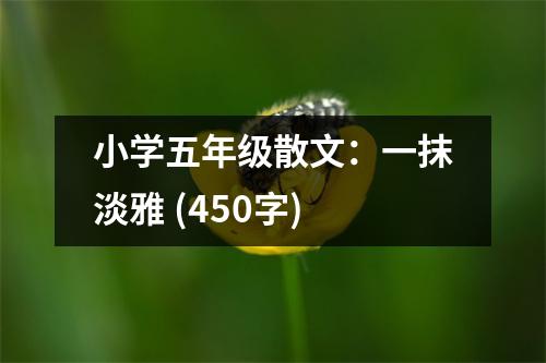 小學(xué)五年級(jí)散文：一抹淡雅 (450字)