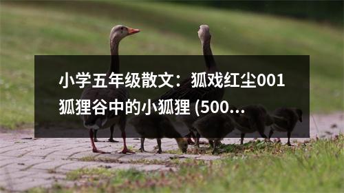 小學五年級散文：狐戲紅塵001狐貍谷中的小狐貍 (500字)