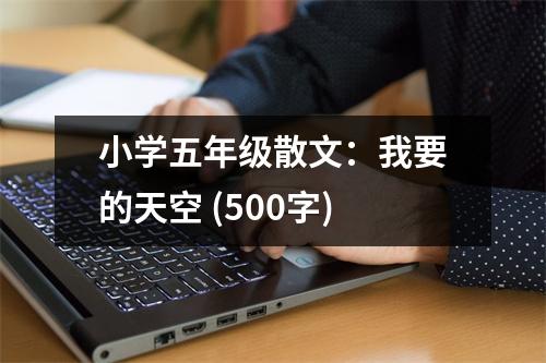 小學(xué)五年級散文：我要的天空 (500字)