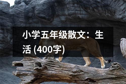 小學(xué)五年級(jí)散文：生活 (400字)