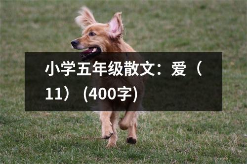 小學五年級散文：愛（11） (400字)