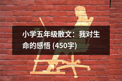 小學五年級散文：我對生命的感悟 (450字)