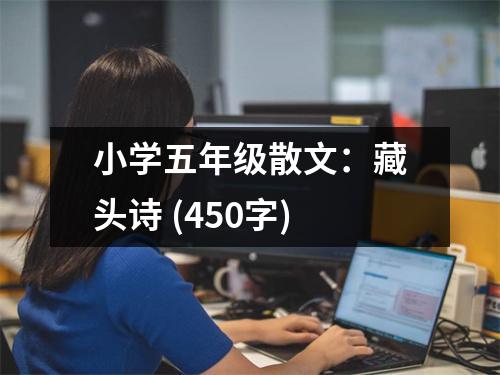 小學(xué)五年級(jí)散文：藏頭詩(shī) (450字)