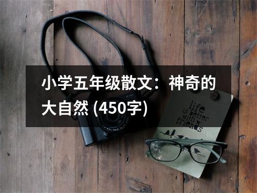 小學(xué)五年級散文：神奇的大自然 (450字)
