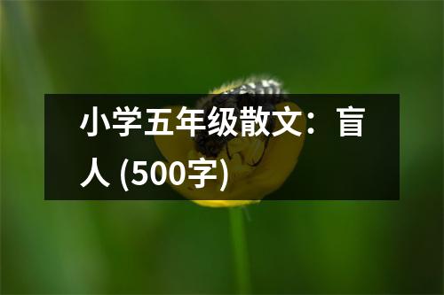 小學五年級散文：盲人 (500字)