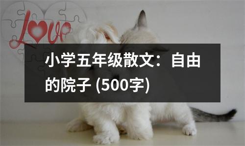 小學(xué)五年級散文：自由的院子 (500字)