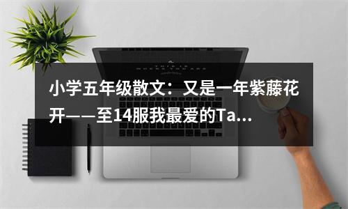 小學(xué)五年級散文：又是一年紫藤花開——至14服我最愛的Ta (400字)