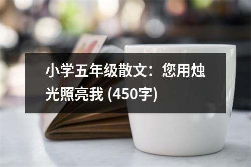 小學(xué)五年級散文：您用燭光照亮我 (450字)