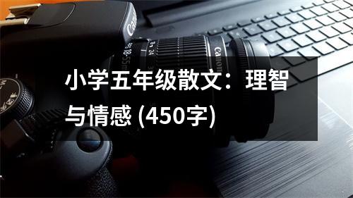 小學五年級散文：理智與情感 (450字)