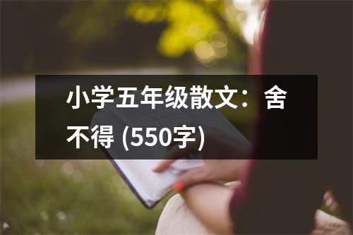 小學(xué)五年級散文：舍不得 (550字)