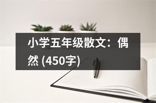 小學(xué)五年級散文：偶然 (450字)