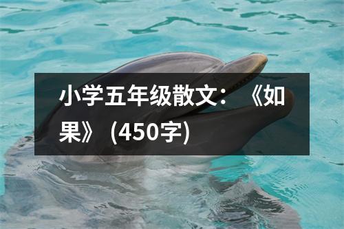 小學(xué)五年級散文：《如果》 (450字)