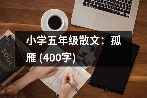 小學五年級散文：孤雁 (400字)