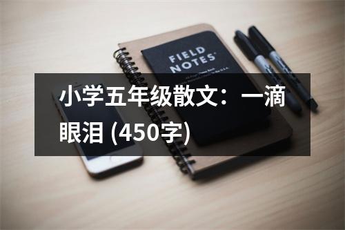 小學(xué)五年級(jí)散文：一滴眼淚 (450字)