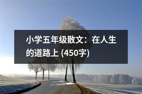 小學五年級散文：在人生的道路上 (450字)