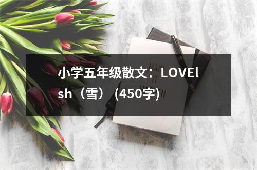 小學(xué)五年級散文：LOVElsh（雪） (450字)