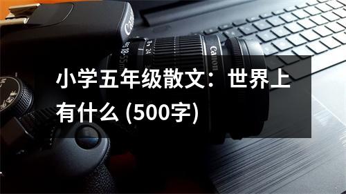小學(xué)五年級散文：世界上有什么 (500字)
