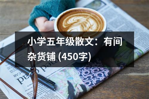 小學(xué)五年級(jí)散文：有間雜貨鋪 (450字)