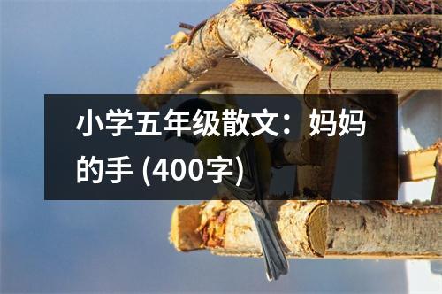 小學(xué)五年級(jí)散文：媽媽的手 (400字)