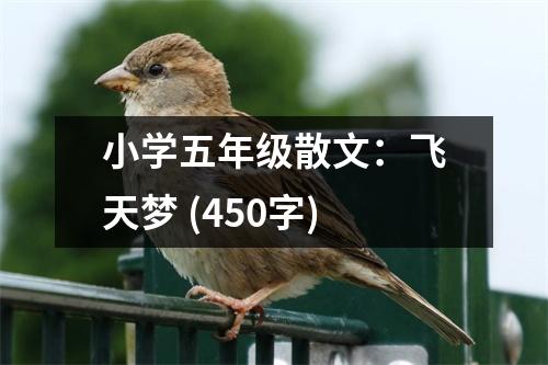 小學(xué)五年級(jí)散文：飛天夢(mèng) (450字)