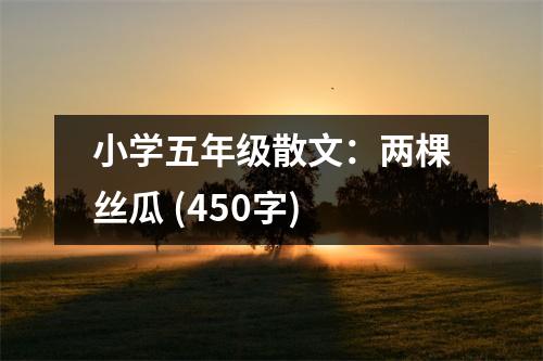 小學(xué)五年級(jí)散文：兩棵絲瓜 (450字)