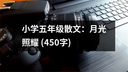 小學(xué)五年級(jí)散文：月光照耀 (450字)