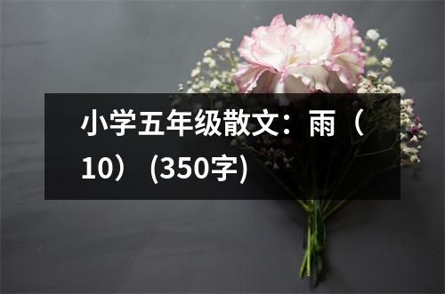 小學(xué)五年級(jí)散文：雨（10） (350字)