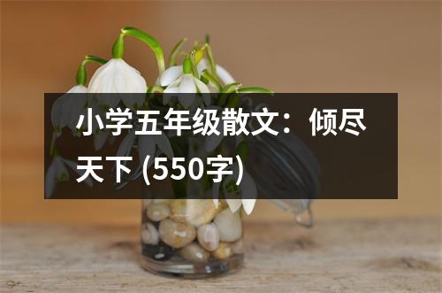 小學(xué)五年級(jí)散文：傾盡天下 (550字)