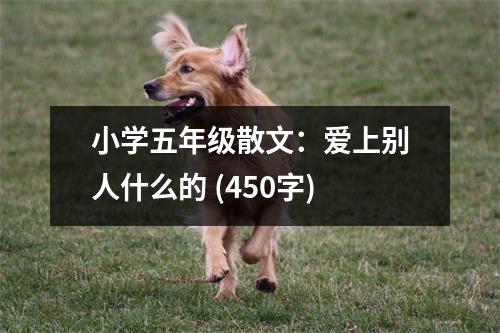 小學五年級散文：愛上別人什么的 (450字)