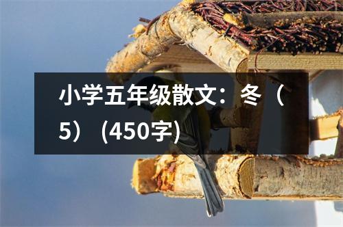 小學五年級散文：冬（5） (450字)