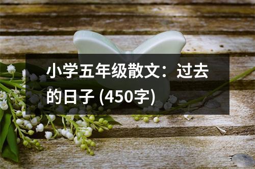 小學(xué)五年級(jí)散文：過去的日子 (450字)