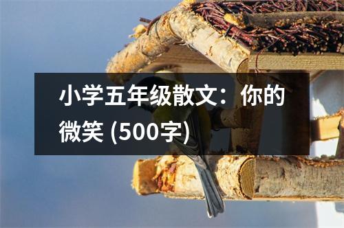 小學(xué)五年級散文：你的微笑 (500字)