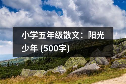 小學五年級散文：陽光少年 (500字)