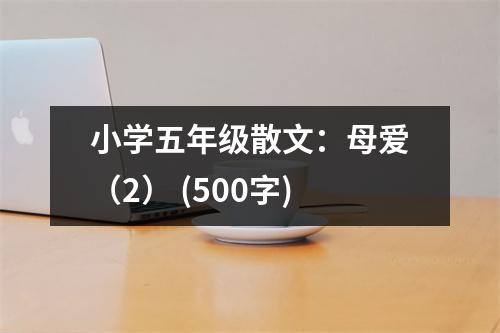 小學五年級散文：母愛（2） (500字)