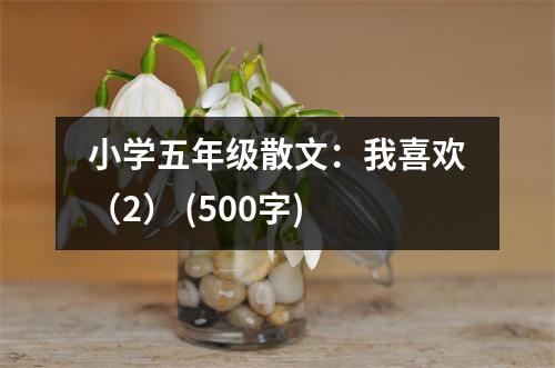 小學五年級散文：我喜歡（2） (500字)
