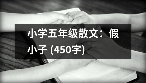 小學(xué)五年級(jí)散文：假小子 (450字)