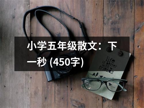 小學(xué)五年級(jí)散文：下一秒 (450字)