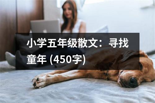 小學(xué)五年級(jí)散文：尋找童年 (450字)
