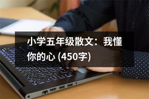 小學(xué)五年級(jí)散文：我懂你的心 (450字)