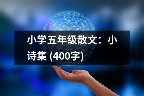 小學五年級散文：小詩集 (400字)