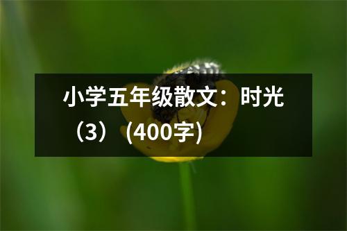 小學五年級散文：時光（3） (400字)