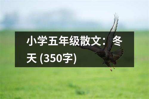 小學五年級散文：冬天 (350字)