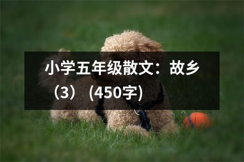 小學(xué)五年級(jí)散文：故鄉(xiāng)（3） (450字)